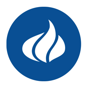 Image result for CBN logo