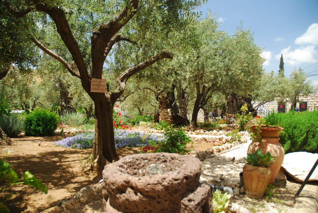 garden of gethsemane